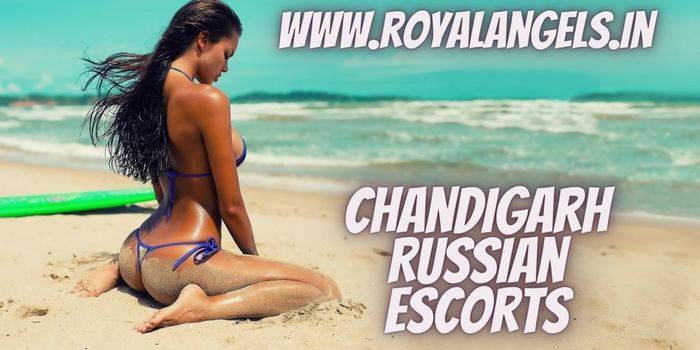 Chandigarh Russian Escorts